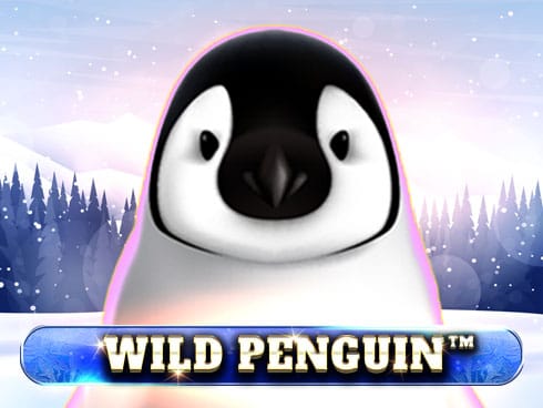 Wild Penguin screenshot